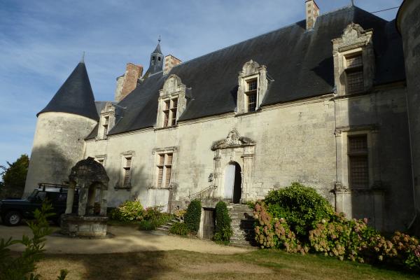 vitraux géometriques en verre soufflé clair pour l'ensemble du chateau de Coussay en Mirebeau (86)